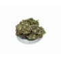 Sativa Poland Susz CBD Super Jamaica - 4